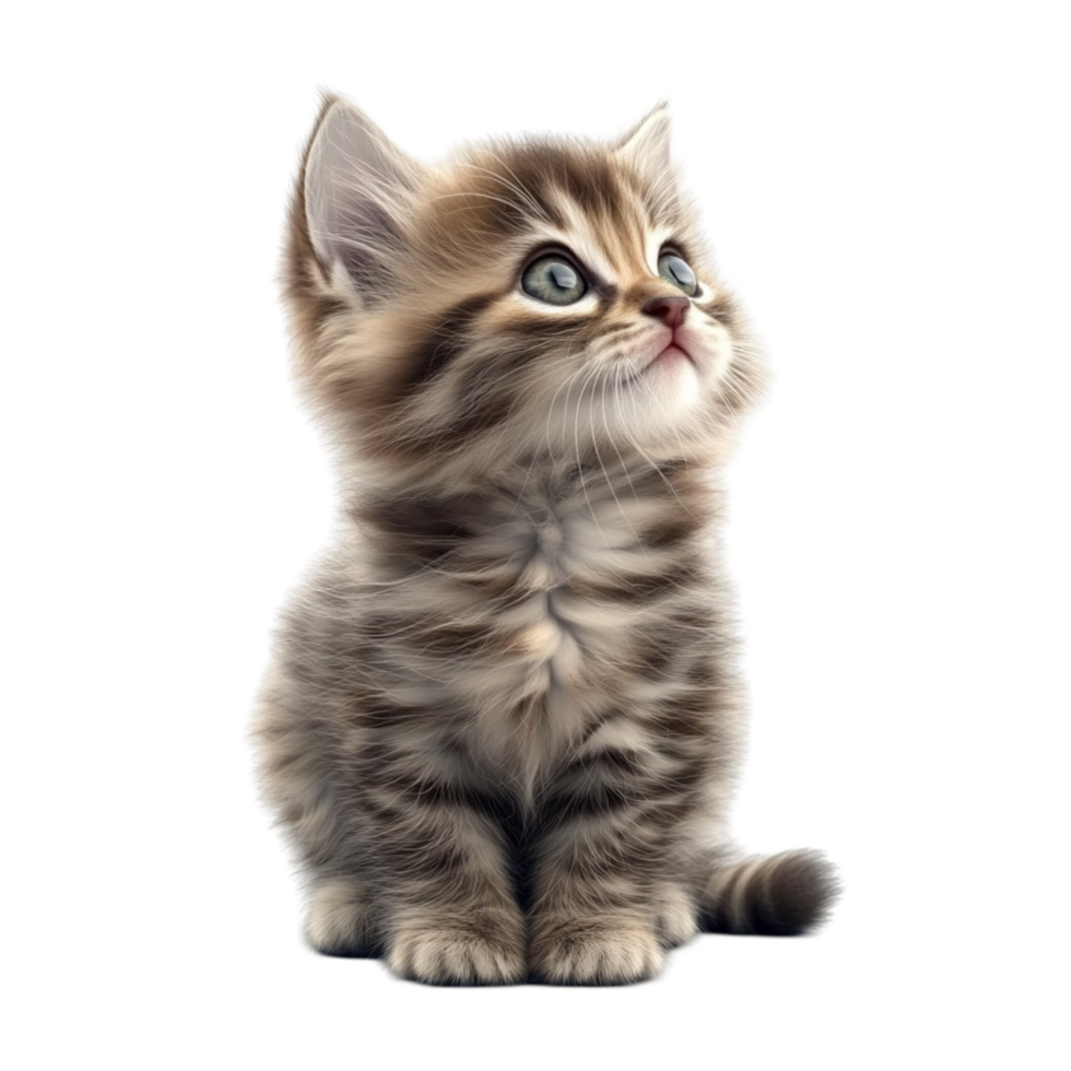 Kitten Sitting on the Floor Looking Up AI-Generative png