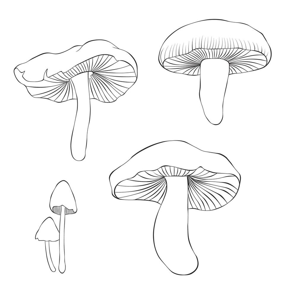 Set mushroom isolated on a white background. Illustration in outline style. vector
