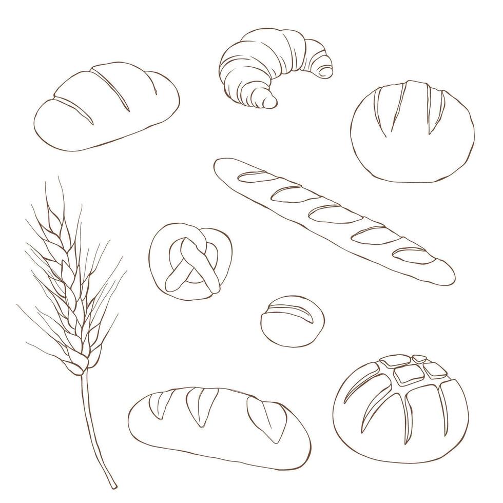 Bread drawing. Bakery product sketch. Vintage food illustration vector