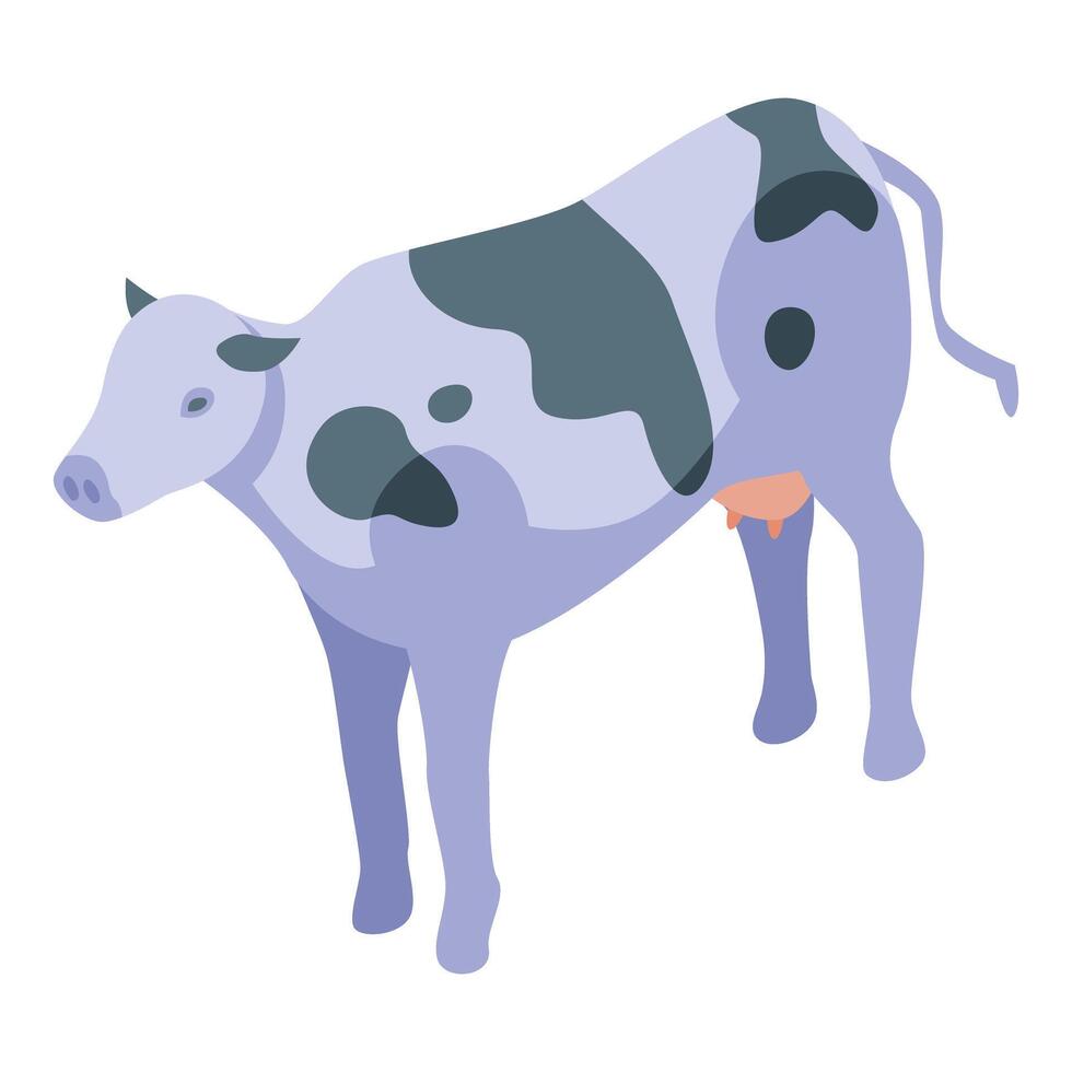 Spotted milk cow standing on farm in isometric projection vector