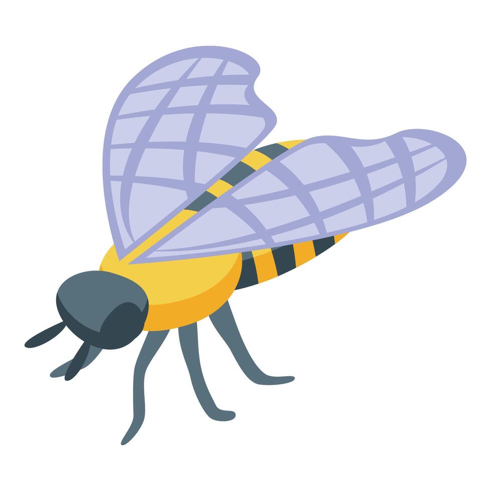Honey bee spreading its wings preparing to fly vector