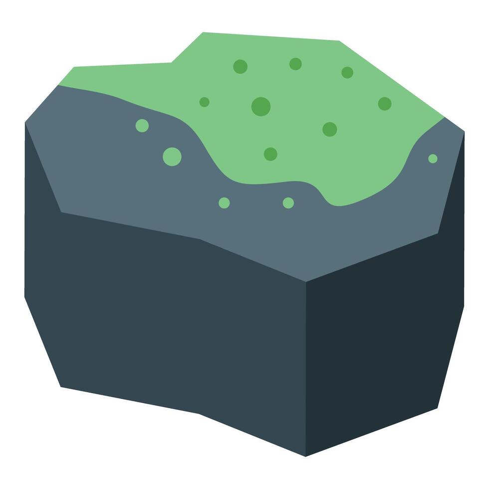Green lichen growing on a grey stone isometric icon vector