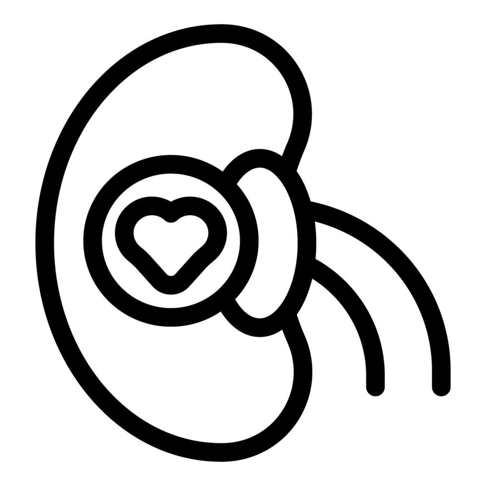 Human kidney loving working filtering blood with heart shape vector