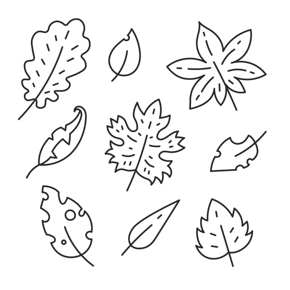 Autumn Leaf Doodle Set vector