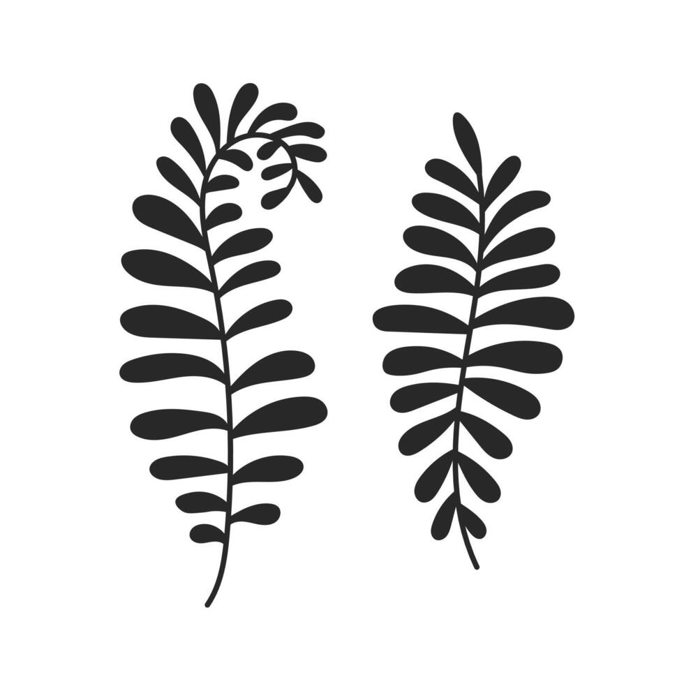Fern Leaf Doodle Set vector