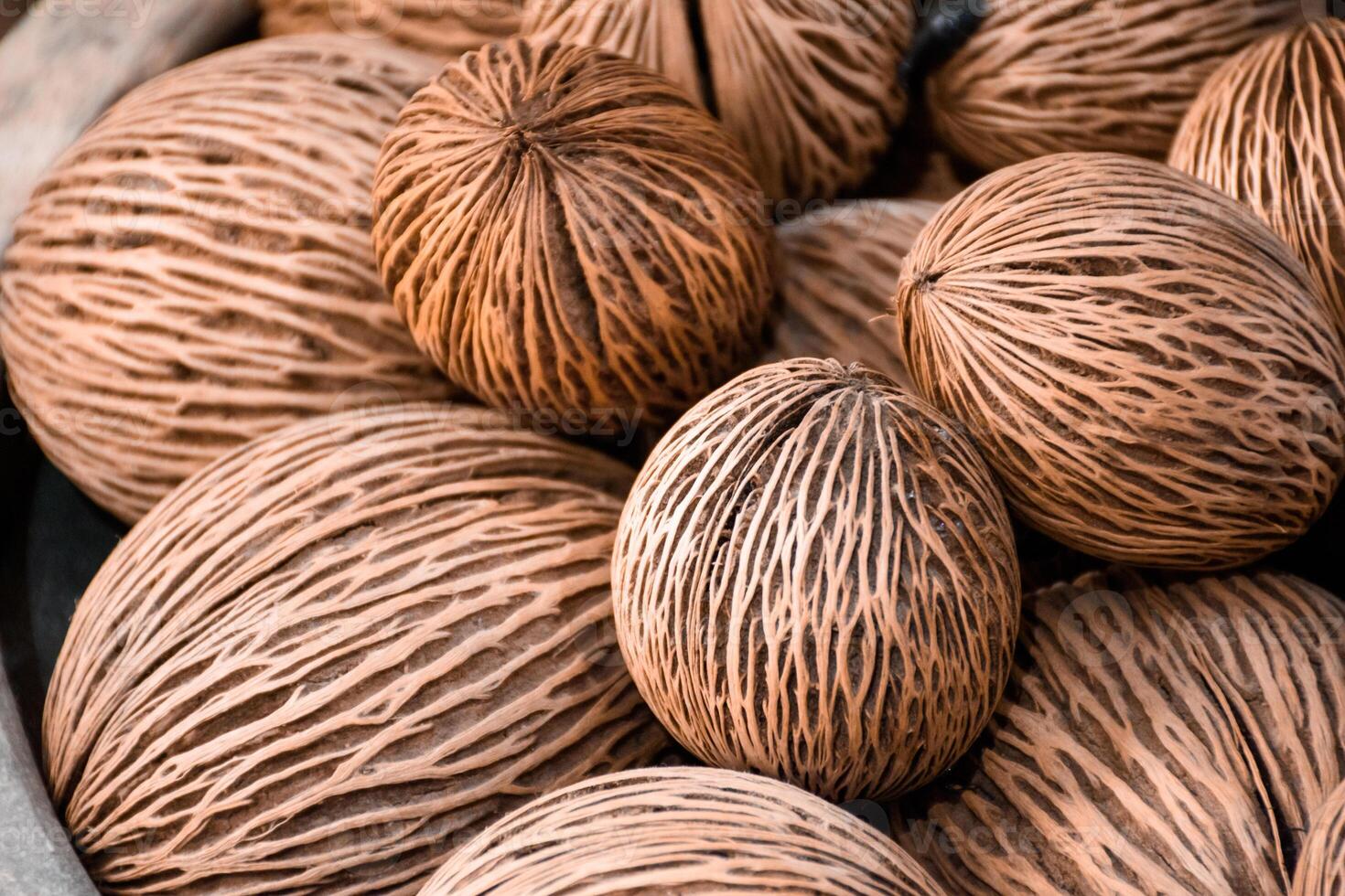 Top view of a cerbera odollam seeds or pong pong seeds from suicide tree. Close up of pong pong plant seeds showing beautiful patterns used for garden decoration. photo
