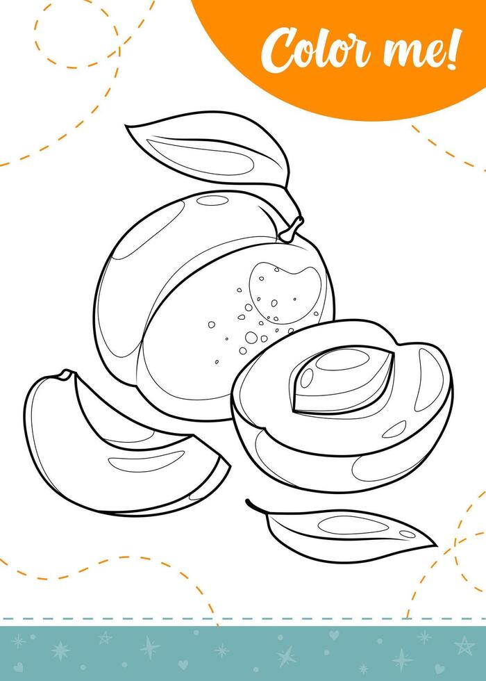 Coloring page for kids with apricot fruit. vector
