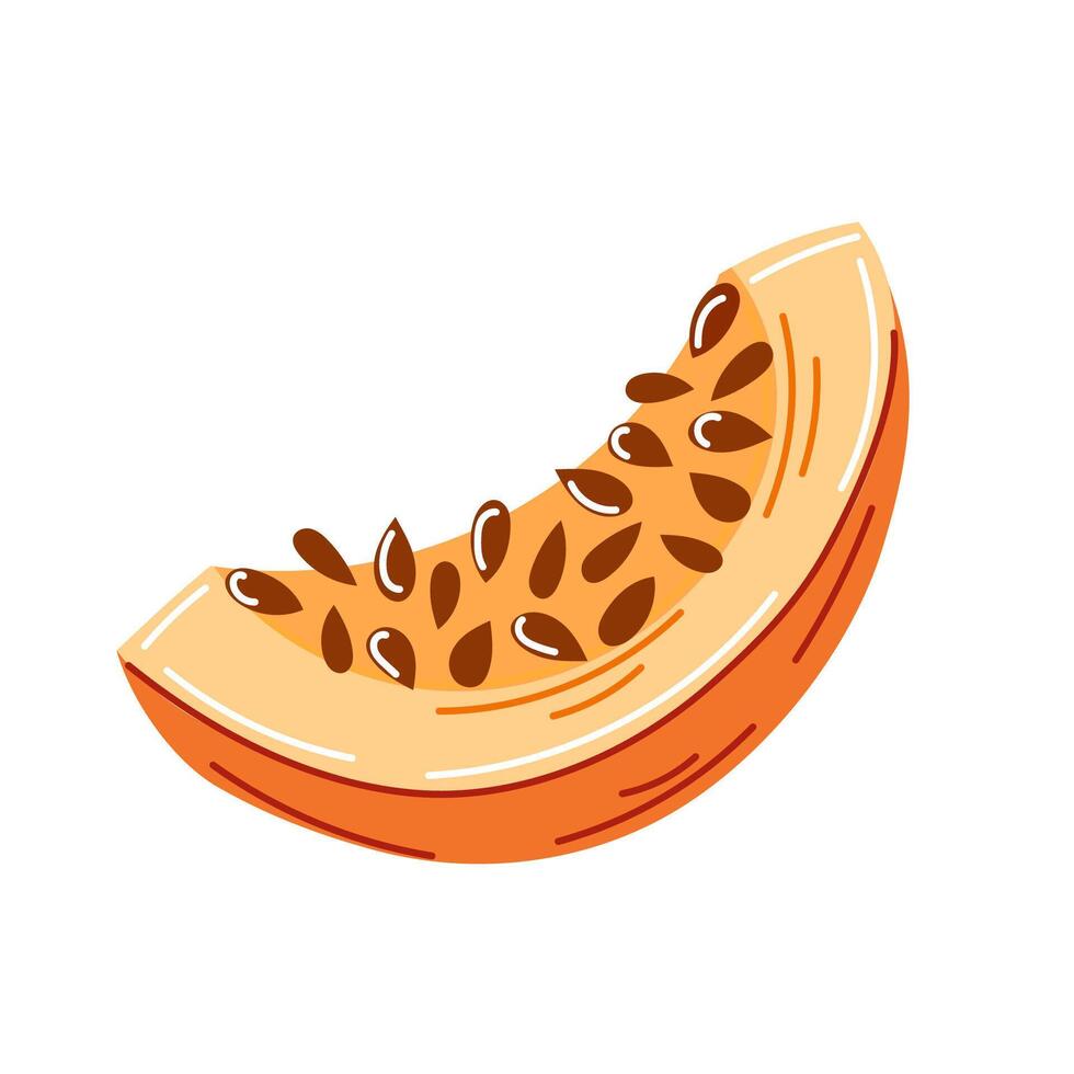Pumpkin slice with seeds visible in cartoon style. Piece shows a bright orange flesh and a curved, natural texture. illustration isolated on a white background. vector