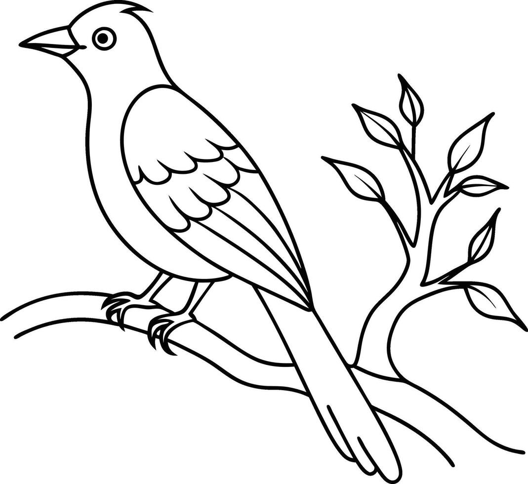 Hand drawn bird outline stayed on a tree. Linear and drawing original bird pet isolate illustration design. vector
