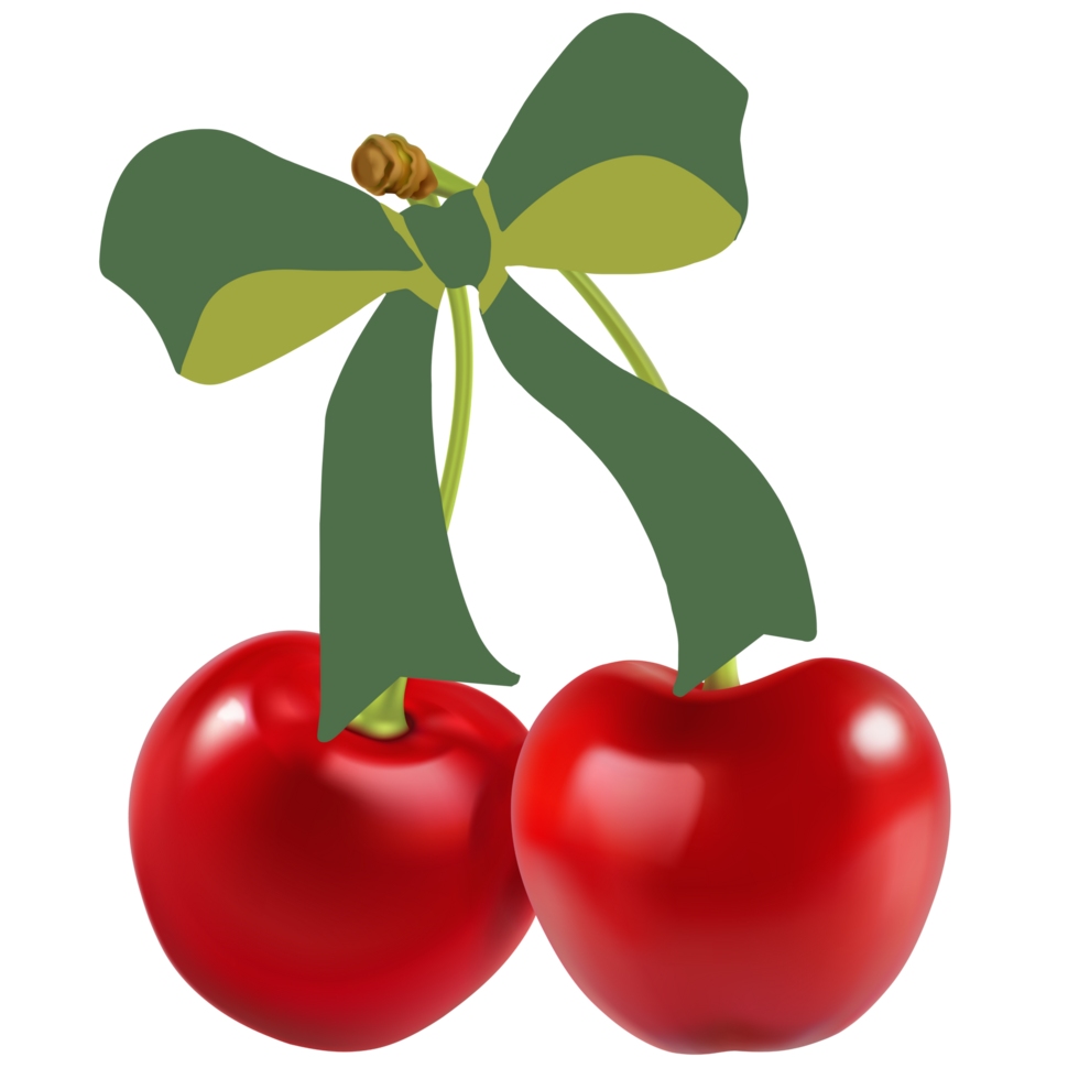 Bow Cherry Design png