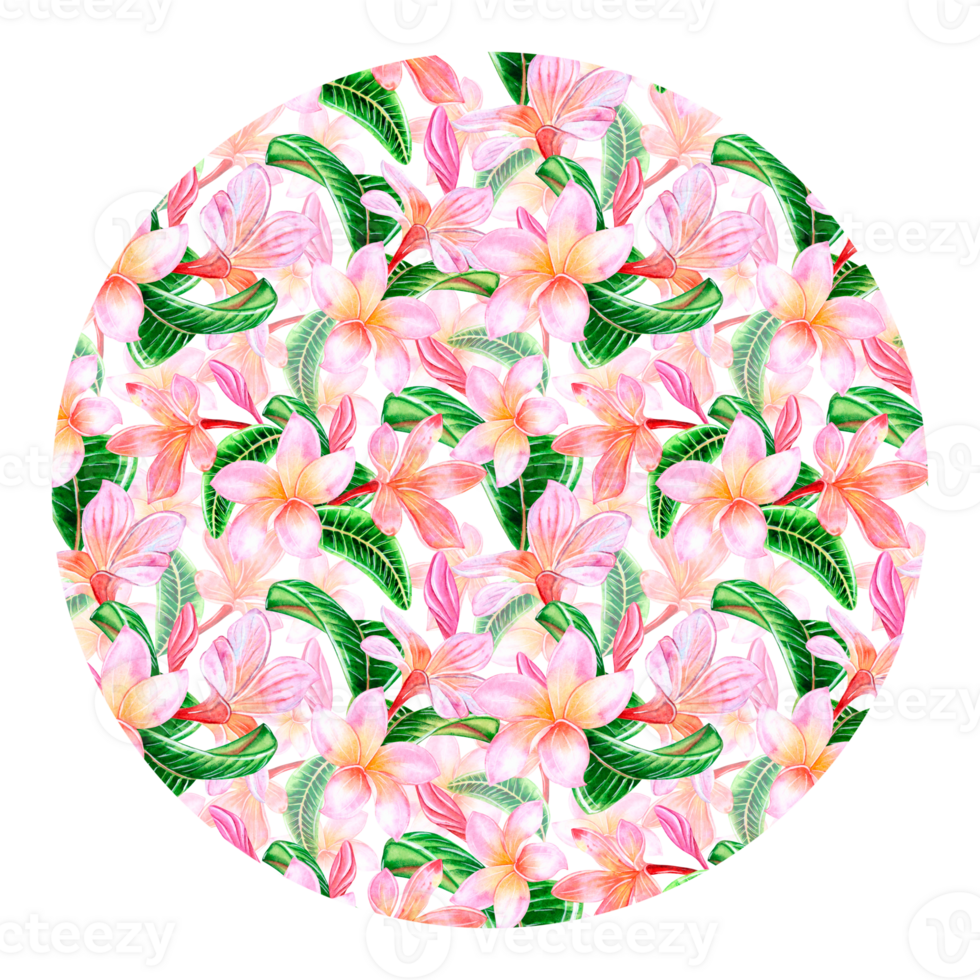 Tropical pink plumeria flowers with leaves. Watercolor, hand drawn illustration. Round frame, template. For design and decoration, packaging and cards, invitations png