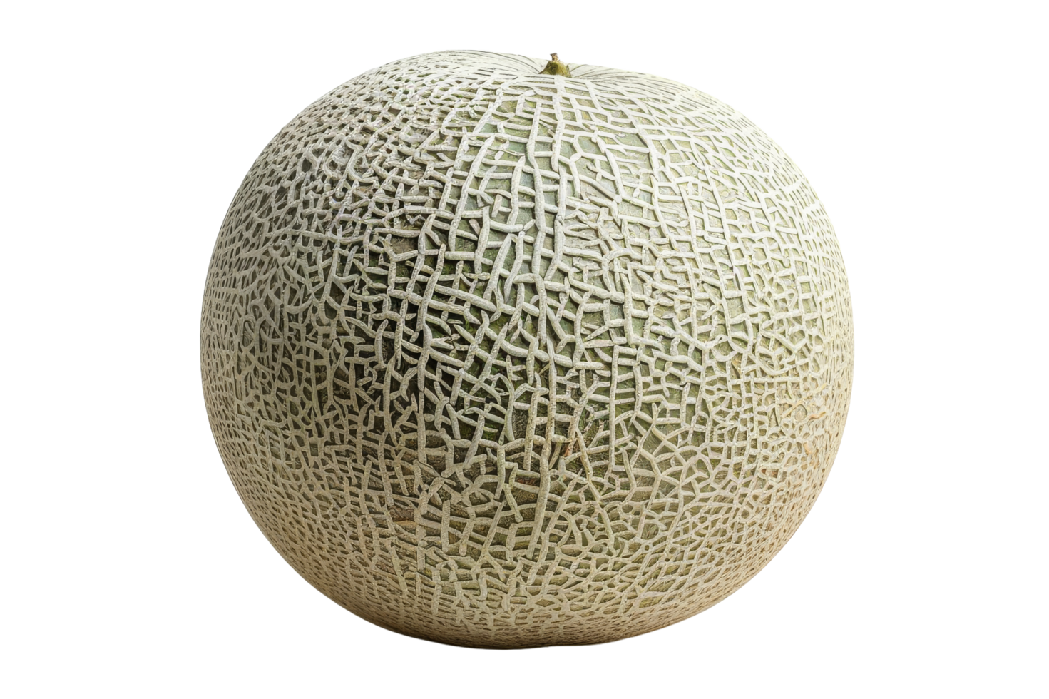 Whole Cantaloupe Melon Isolated png