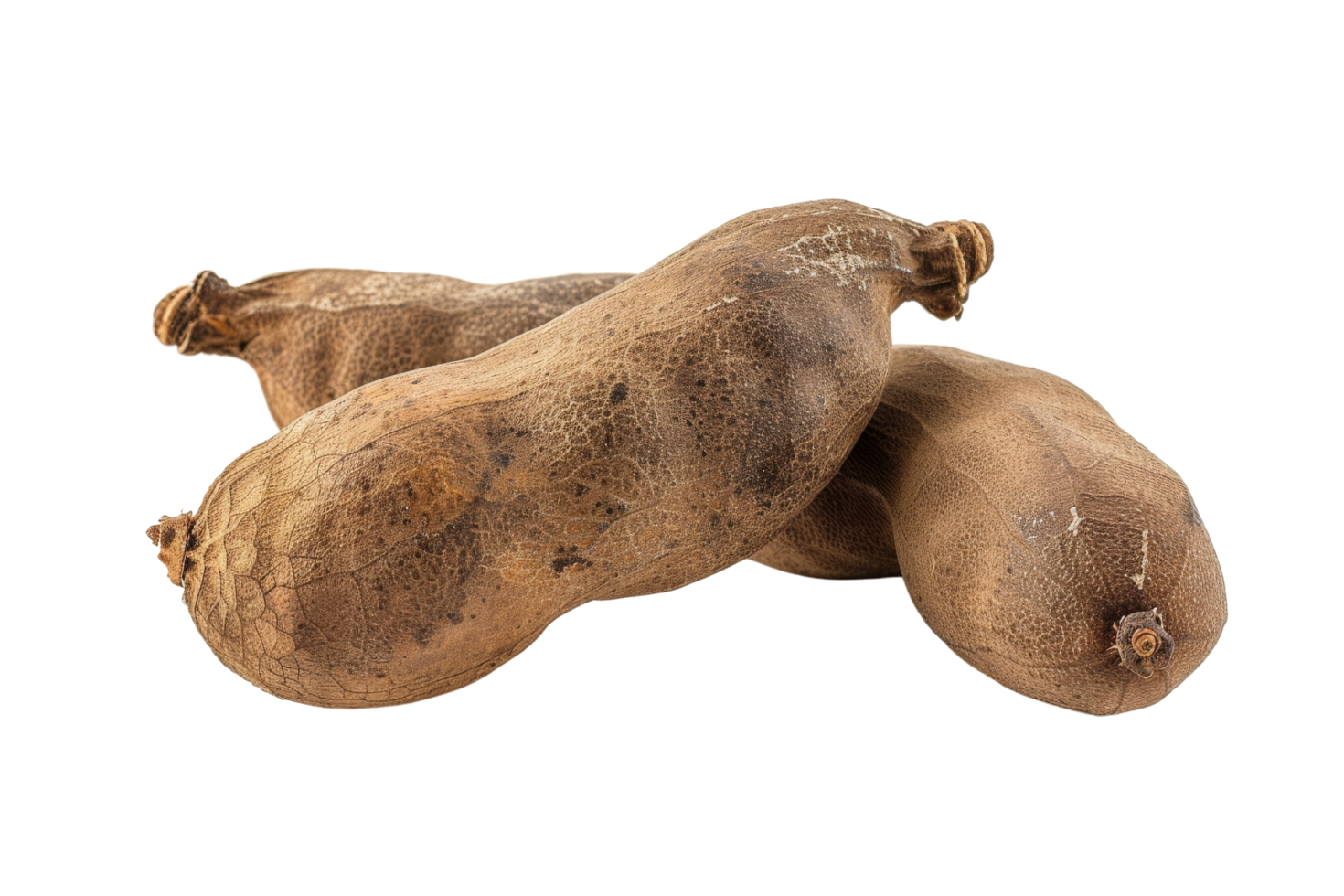Dried Tamarind Pods png