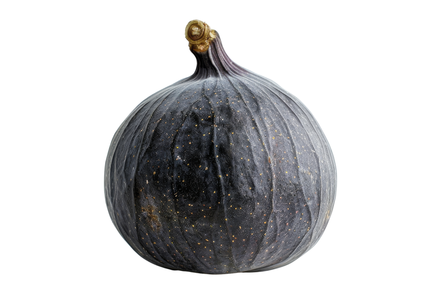 Single Fresh Ripe Fig Isolated png
