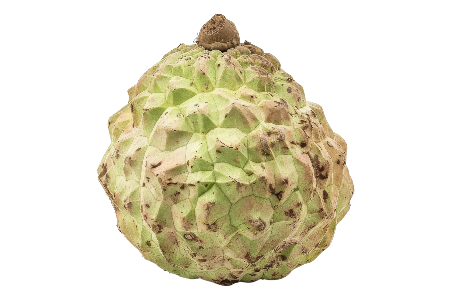 Close-up of a Custard Apple Fruit png