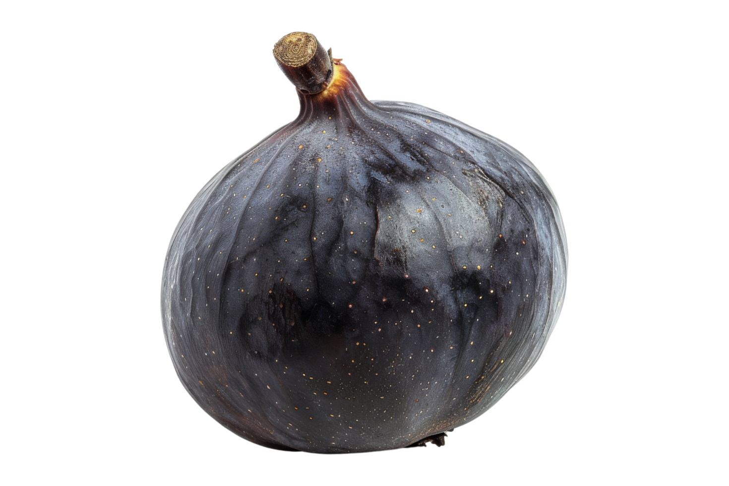 Fresh Fig Isolated png