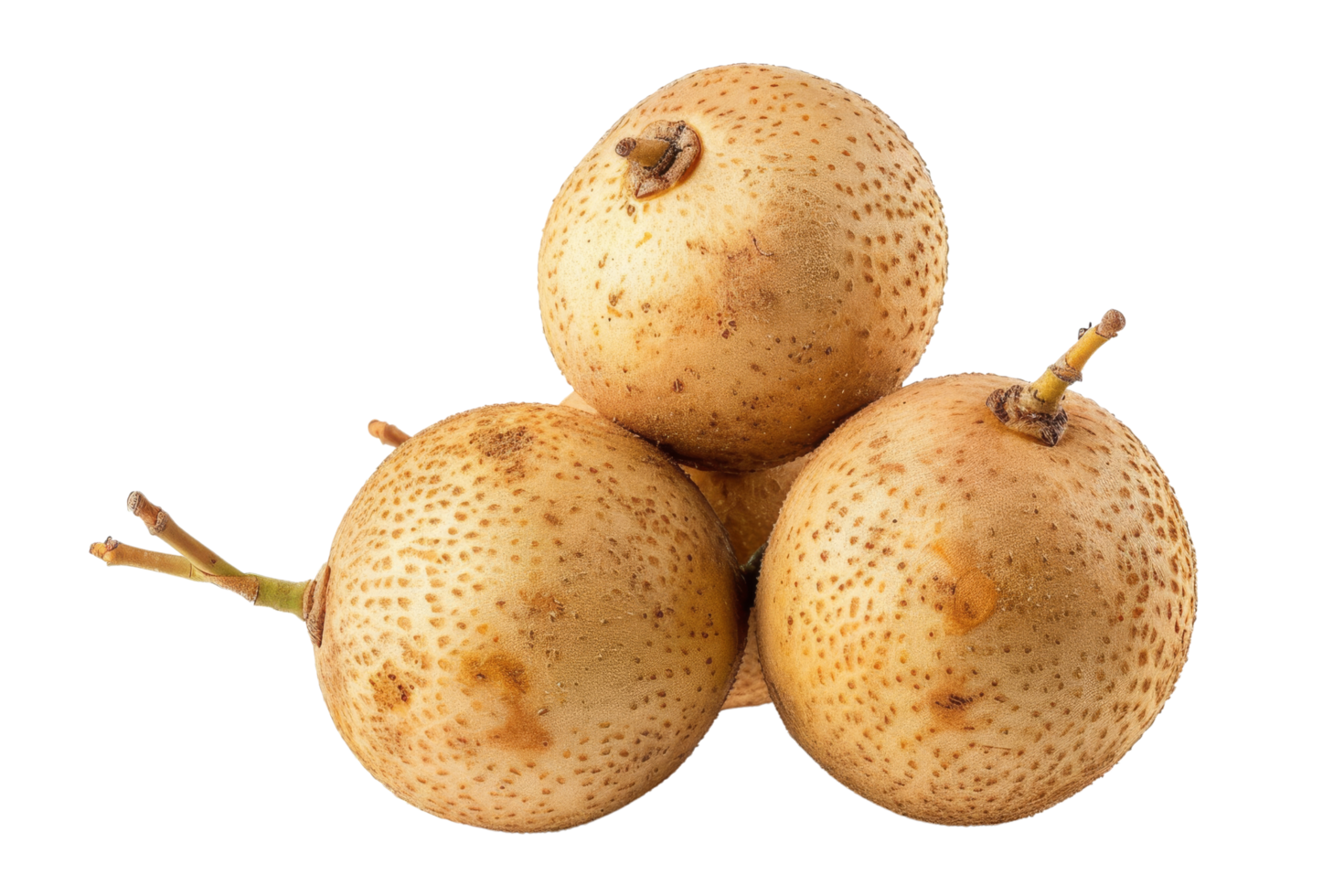 Three Ripe Langsat Fruits png