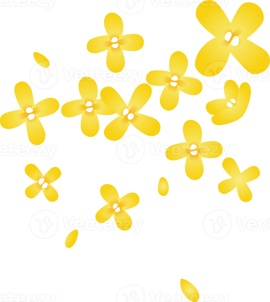 Yellow Osmanthus fragrans png