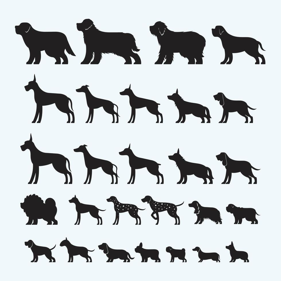 Arranged in different sizes from large to small dog set vector