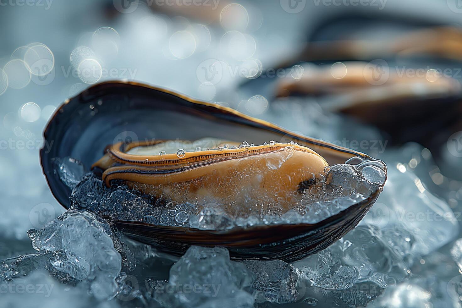 Mussels on ice with water drops. Shallow depth of field photo