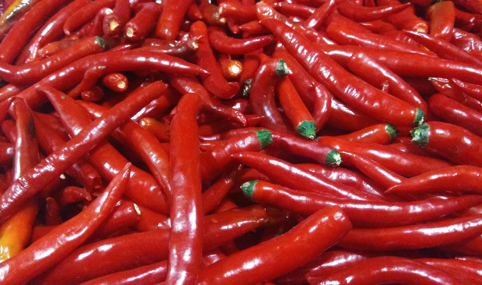 Photo of lots of chilies