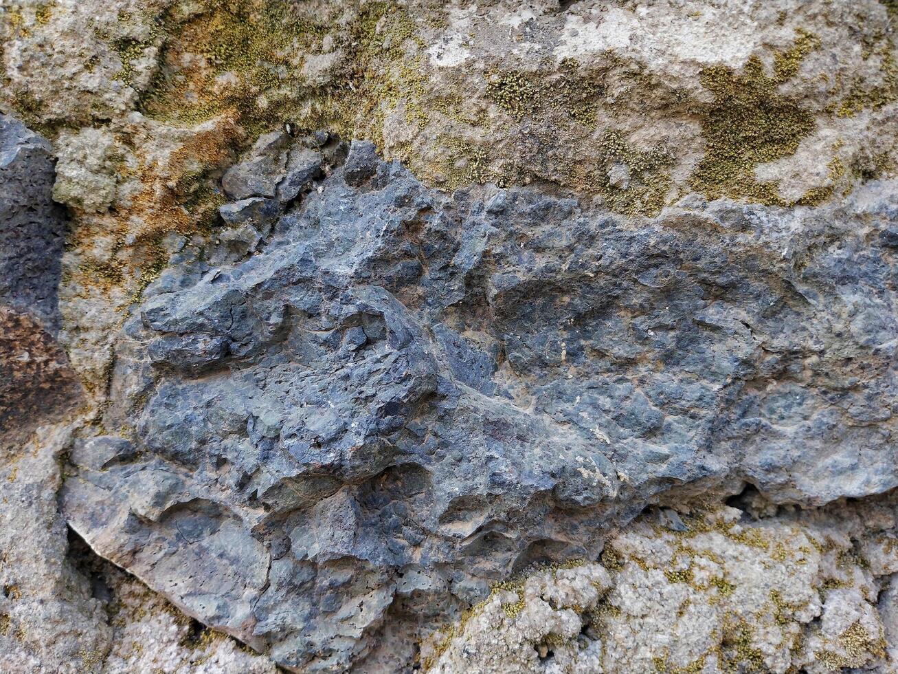 Stone Rough Texture Background Surrounded By Moss photo