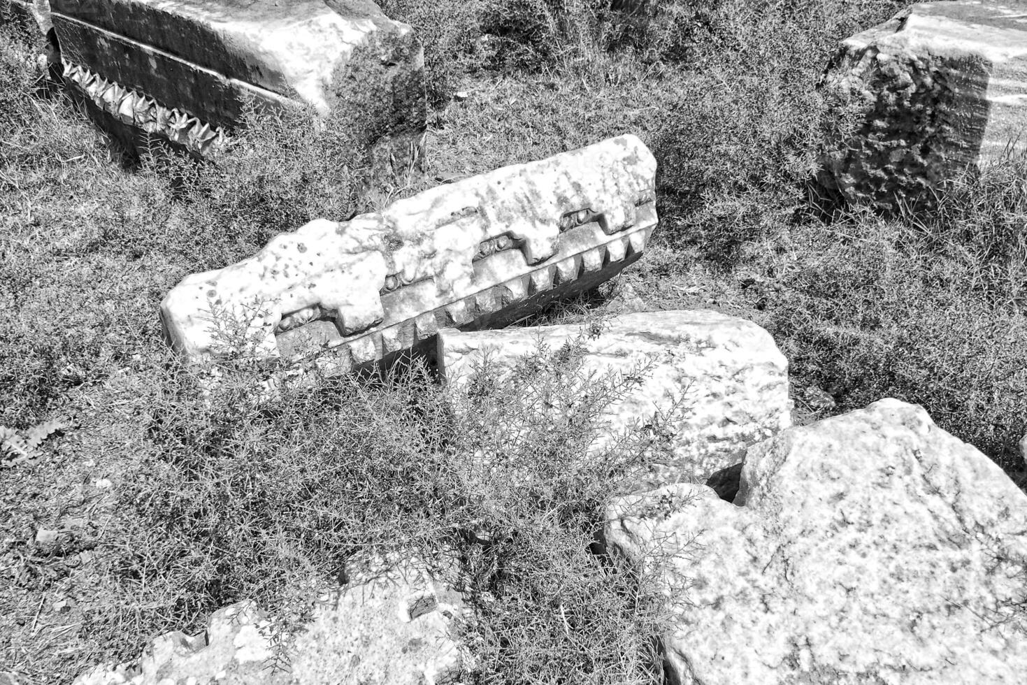 ancient ruins of the ancient Roman theater in Miletus, Turkey photo