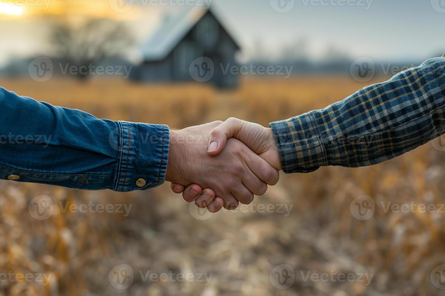 handshake against the backdrop of a country house for sale photo