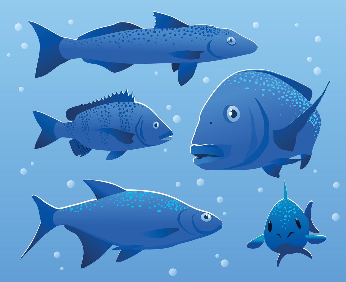 Illustration of river fish. Perch, bream, crucian carp vector