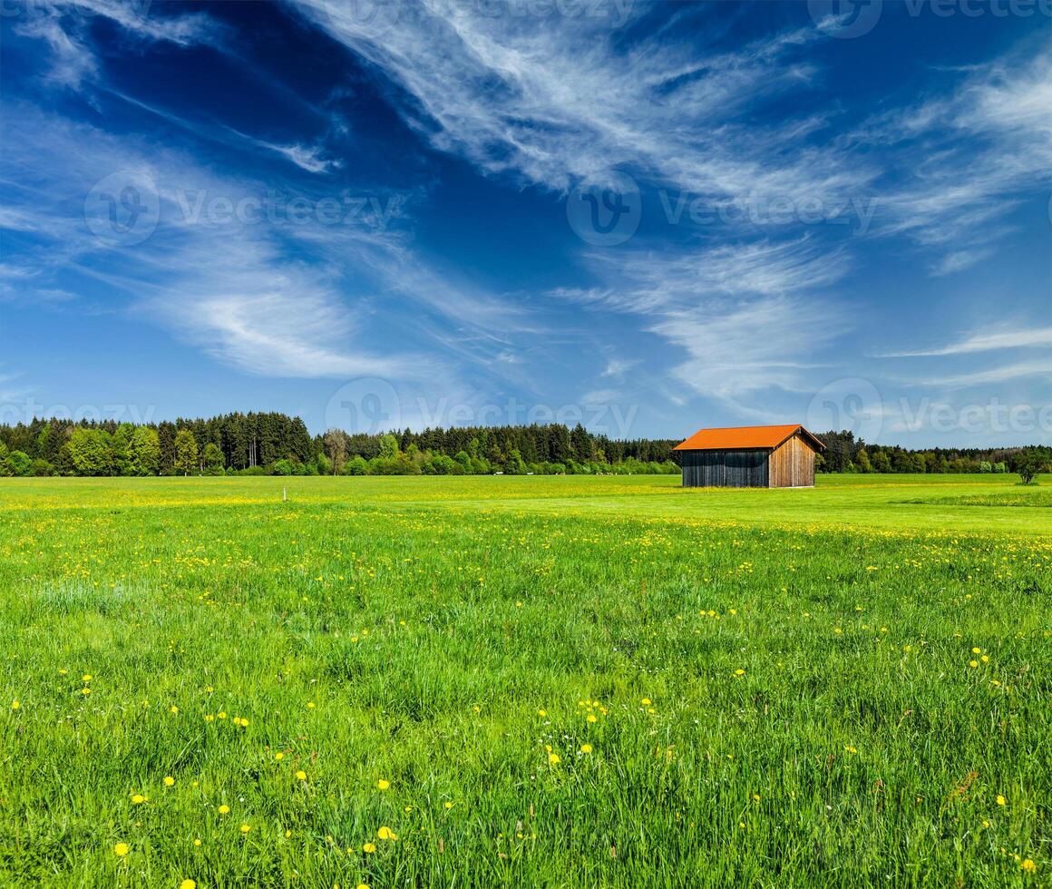 Rural road in summer meadow with wooden shed photo