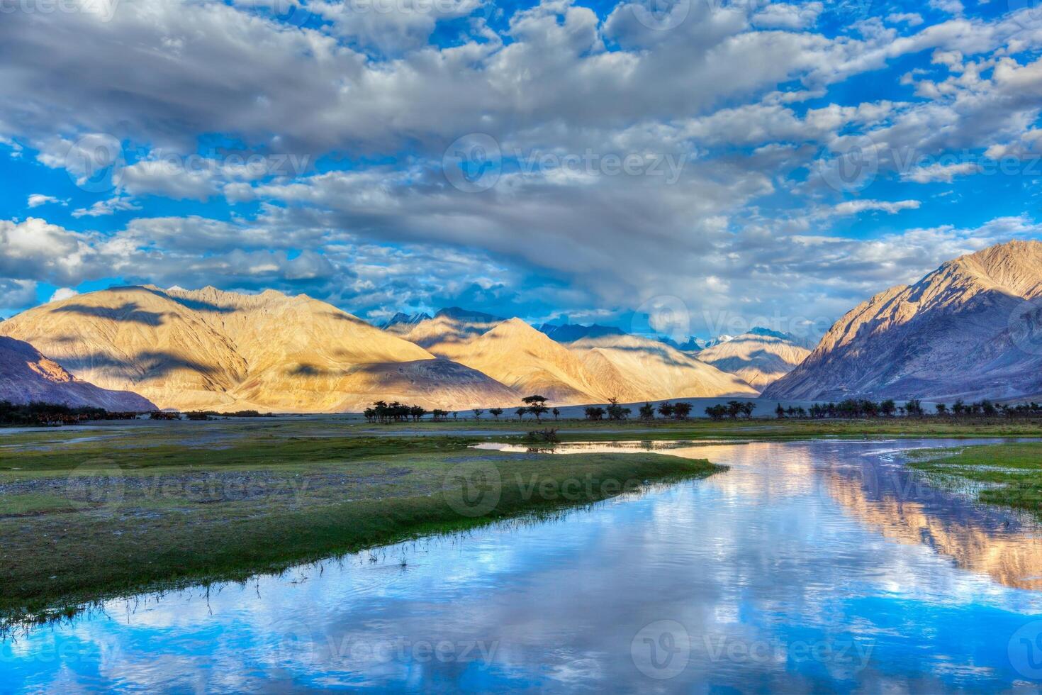 Nubra river in Nubra valley in Himalayas photo