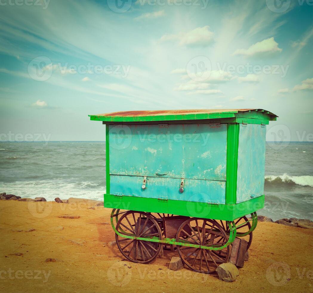 Cart on beach, Tamil Nadu, India photo