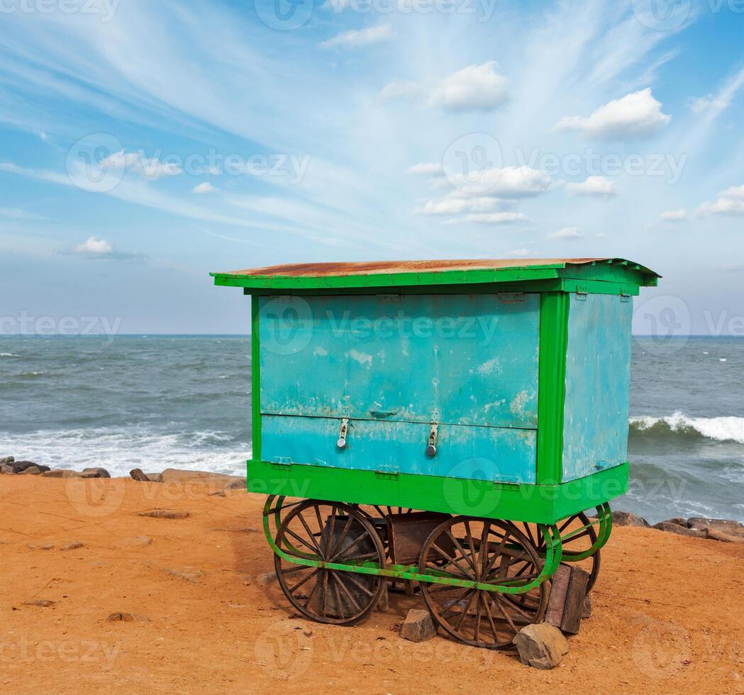 Cart on beach, Tamil Nadu, India photo