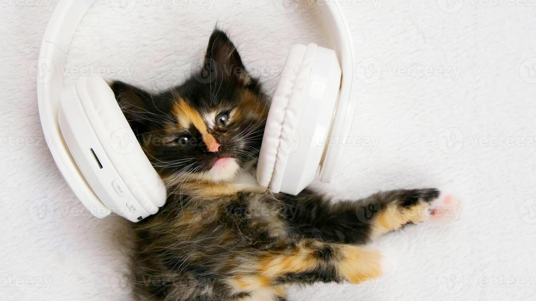 Cute fluffy kitten cat in white musical headphones lies and rests on a white soft blanket and looking at camera. Funny kitten resting and listening to music. photo