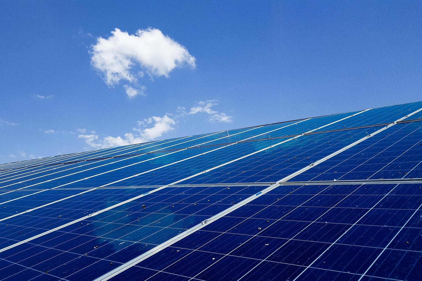 Solar cell panels installed on the roof top to obtain power from the nature become dirty caused by Bird droppings. photo