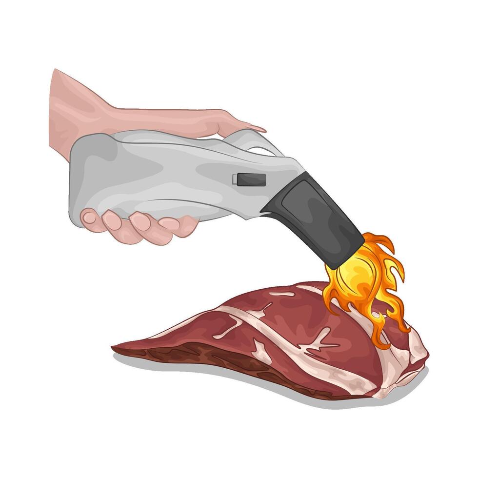 Illustration of meat and electric gas lighter vector