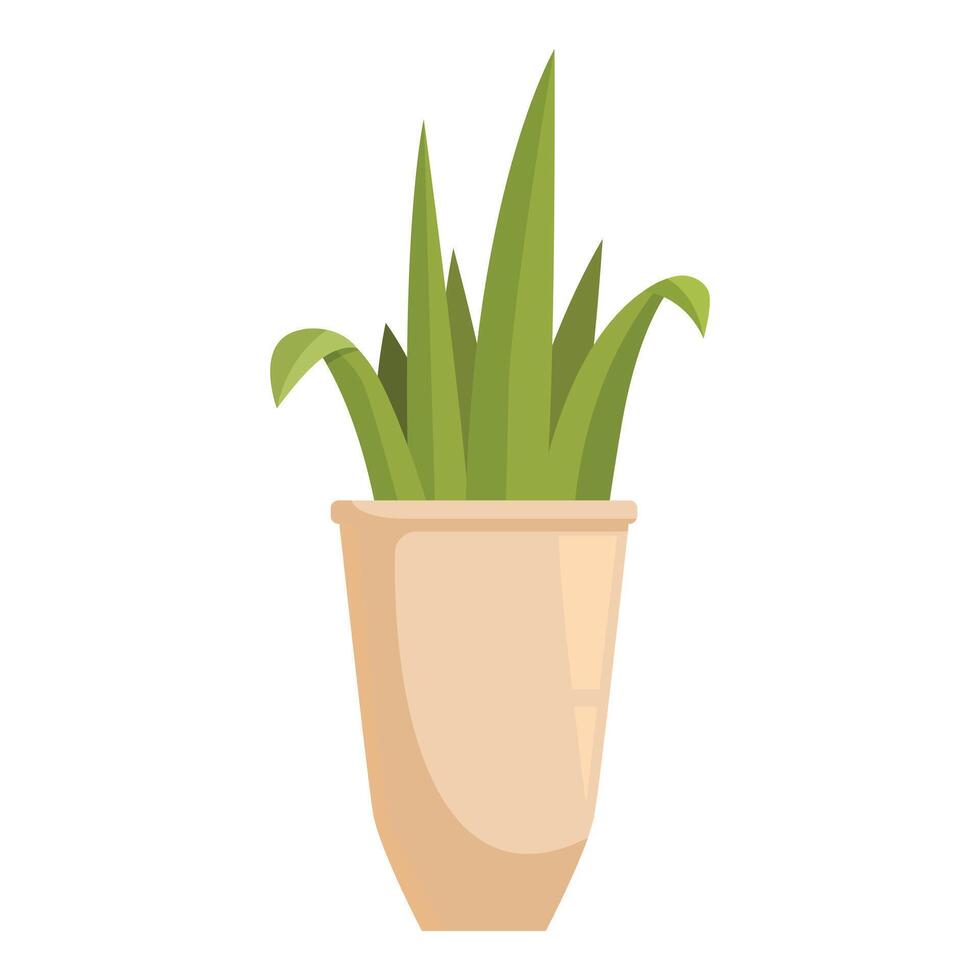 Green plant growing in a beige pot with long leaves vector