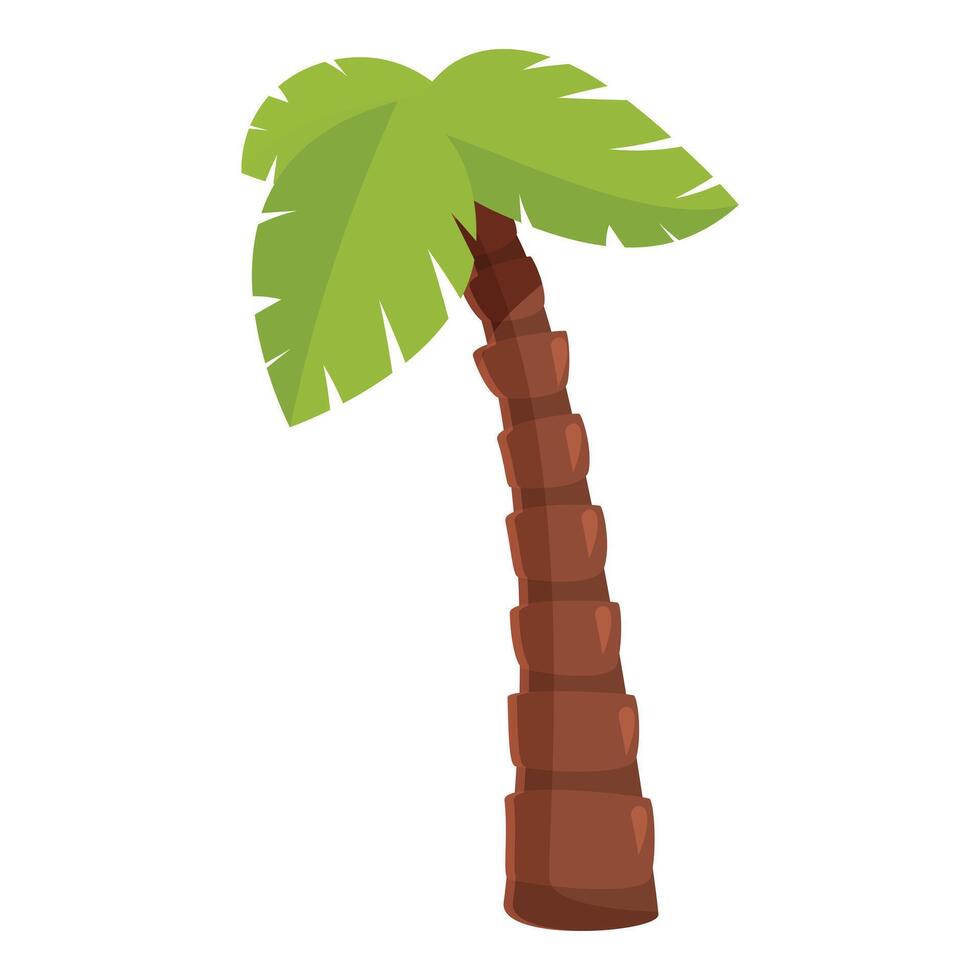 Cartoon style tropical palm tree growing in summer vector
