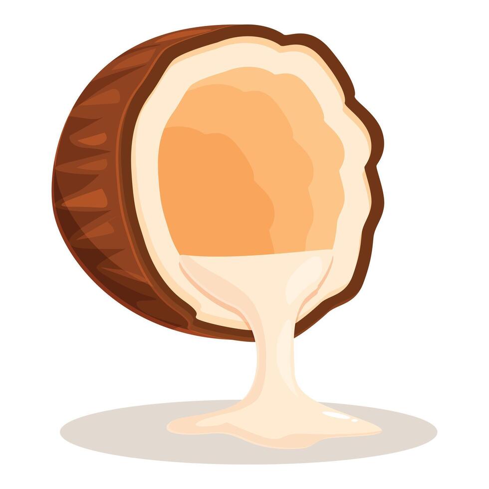 Coconut milk pouring from ripe cracked coconut vector