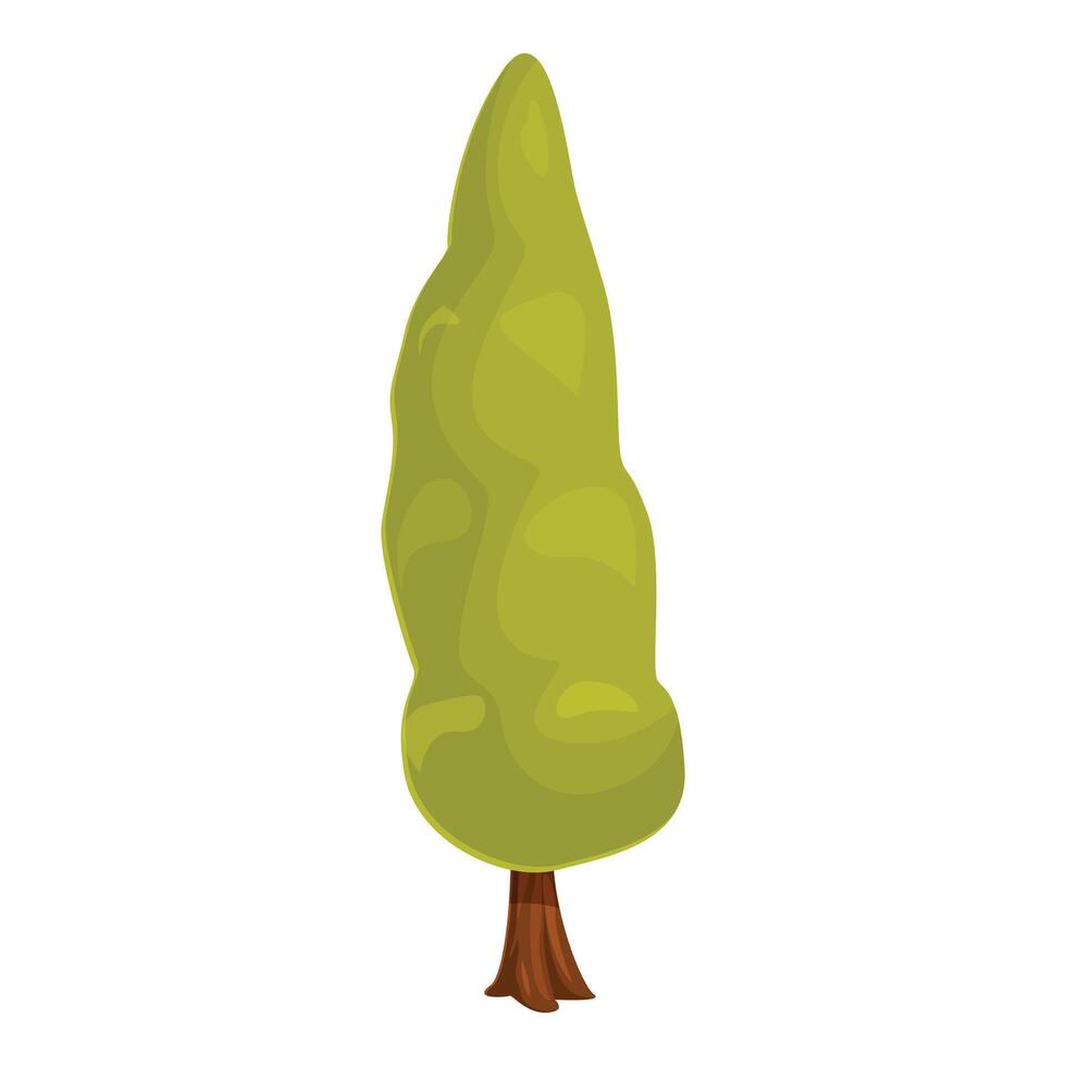 Green cypress tree growing upwards with lush crown and brown trunk vector