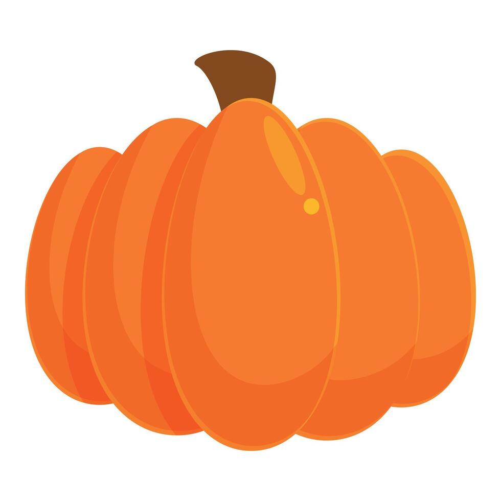 Big ripe orange pumpkin growing in garden illustration vector
