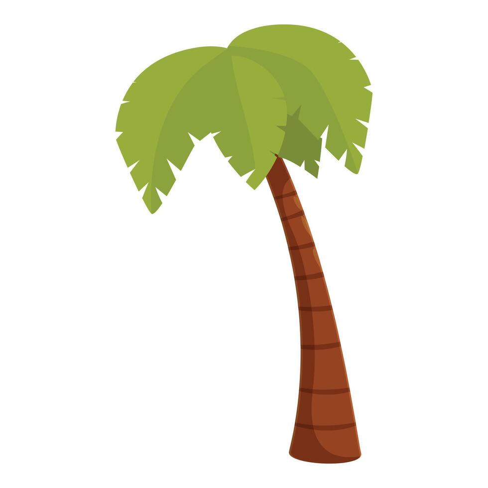 Cartoon style tropical palm tree standing tall vector