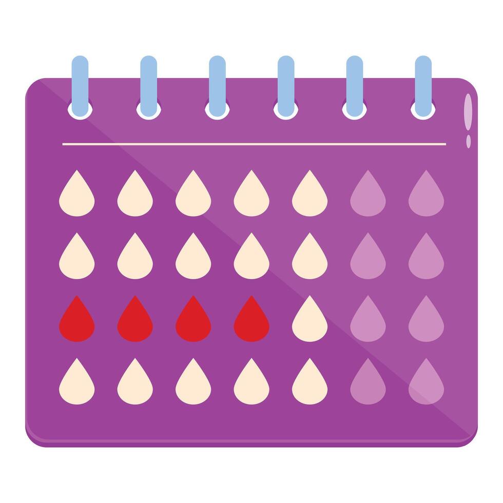 Menstrual cycle calendar showing menstruation period vector