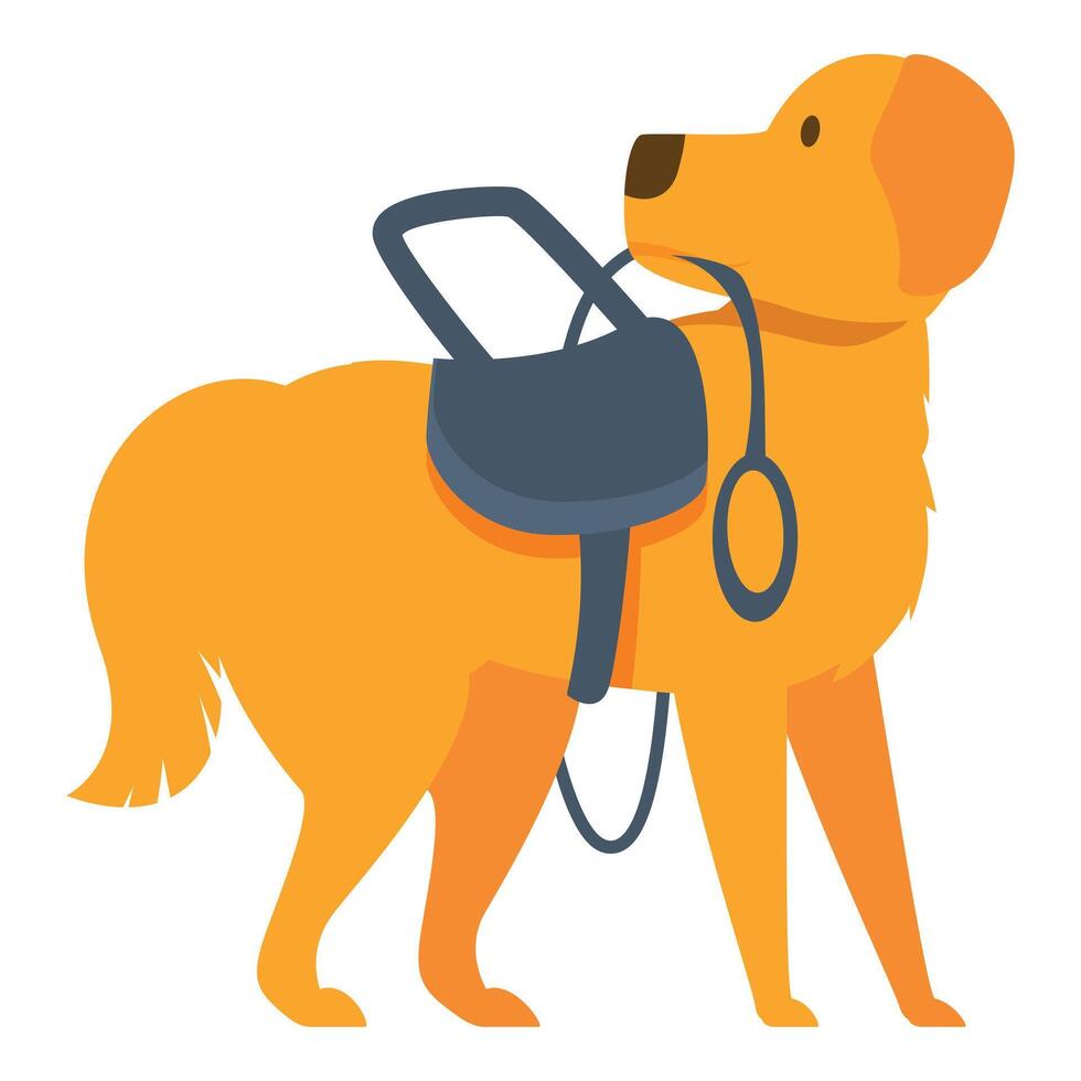 Golden retriever dog carrying saddle bag standing on white background vector