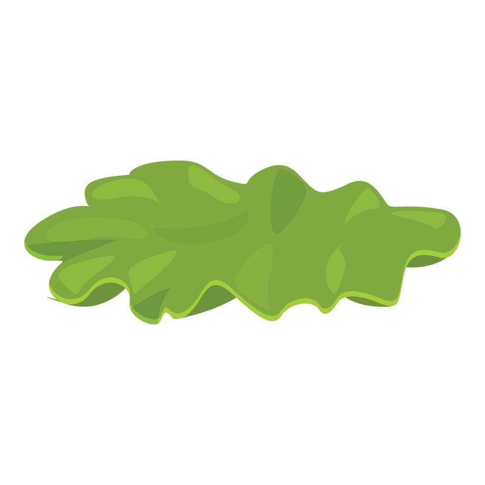 Green lettuce leaf floating showing freshness and organic food vector