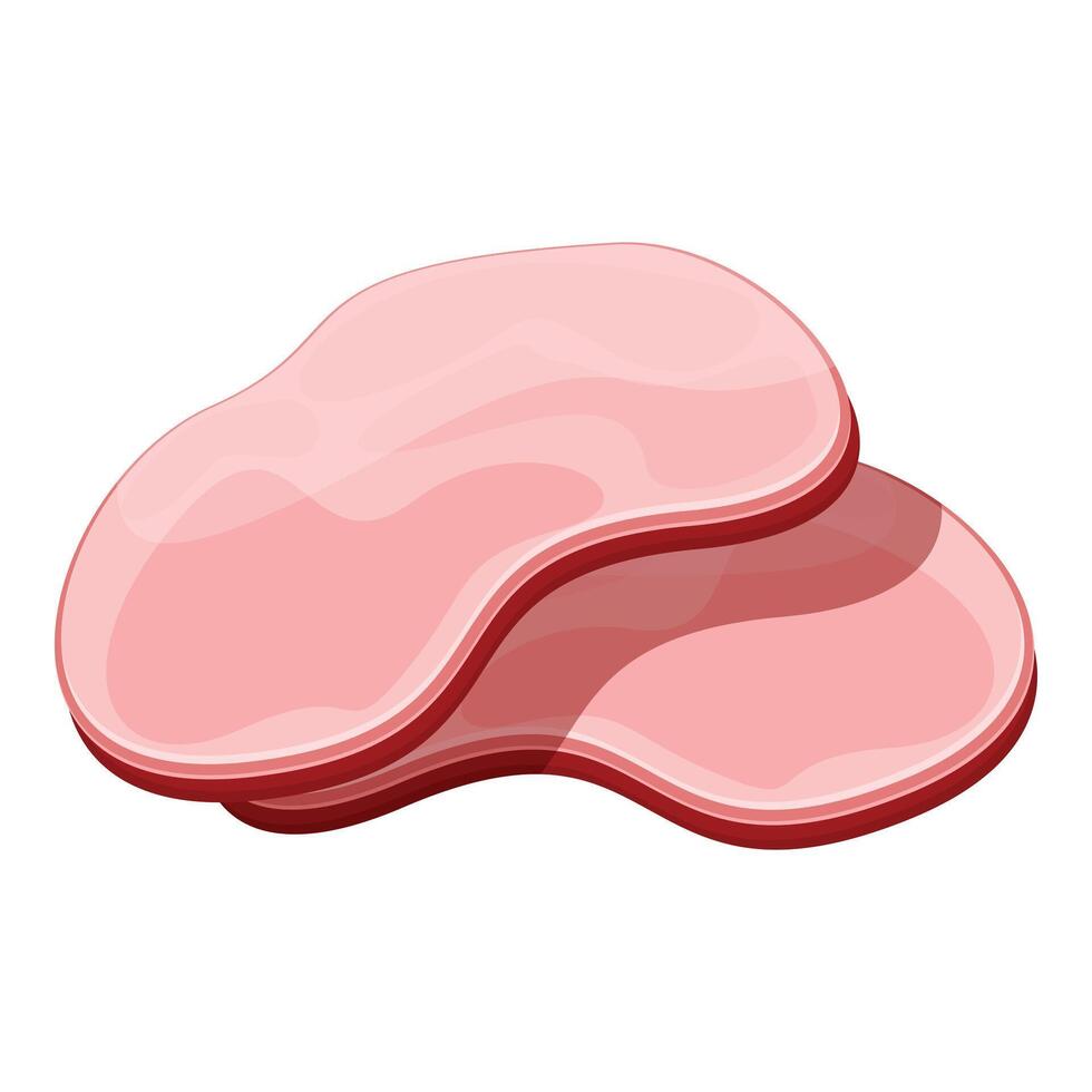 Two slices of ham are lying on top of each other vector