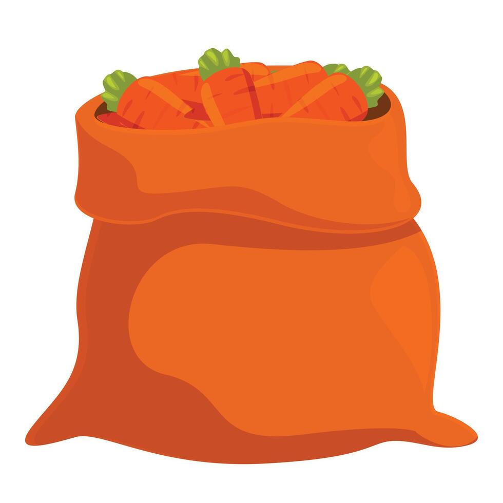 Full burlap sack overflowing with fresh carrots vector