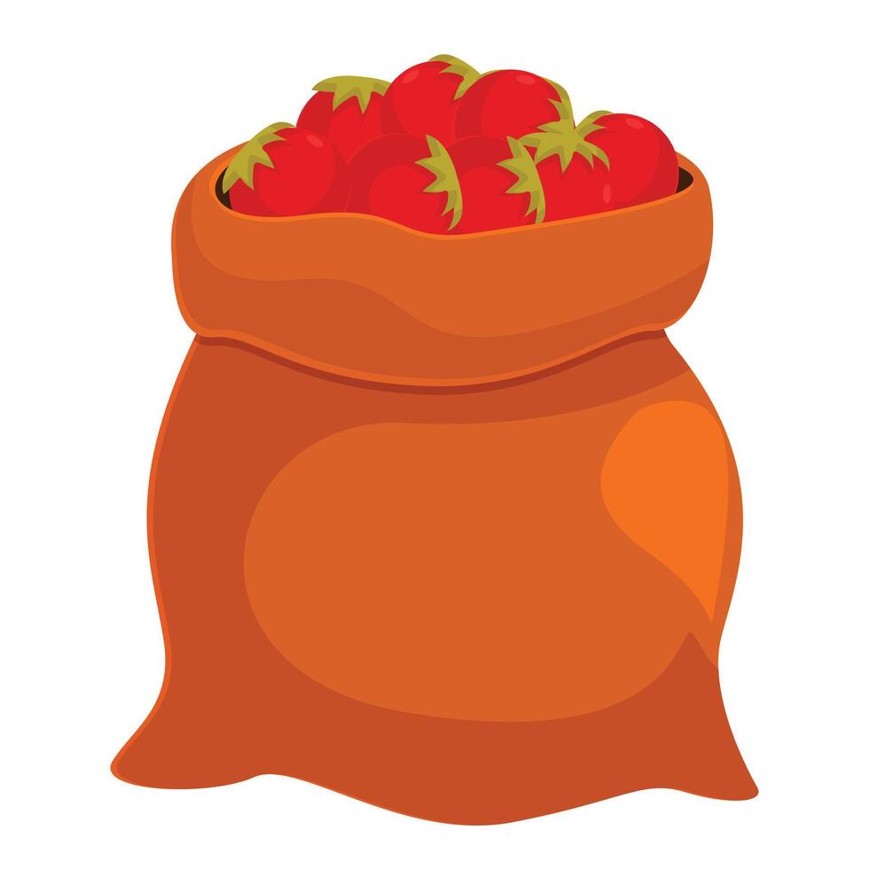Full burlap sack overflowing with freshly picked ripe red tomatoes vector