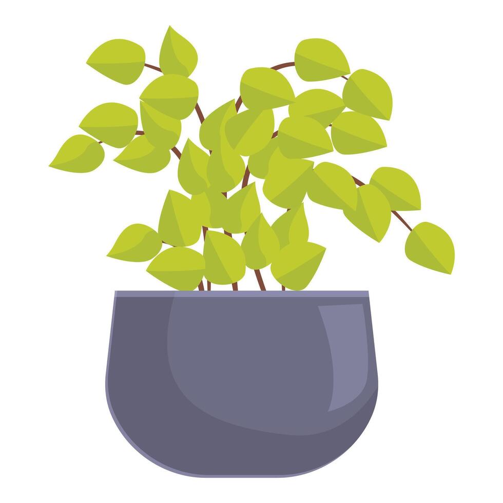 Green houseplant growing in grey pot with long stems and lush leaves vector