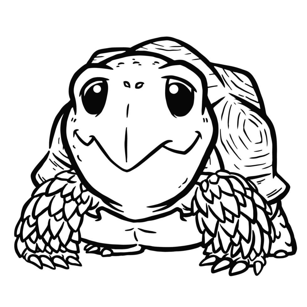 Tortoise - Coloring book for kids vector